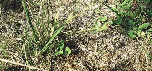 Le bassin de la Sambre en alerte sécheresse jusqu’au 15 septembre 2020