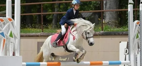 « L'Equitation pour Tous ! » avec les écuries de la Demi-Lieue à...