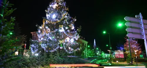 HAUTMONT : vous avez un grand sapin dans votre cour ?
