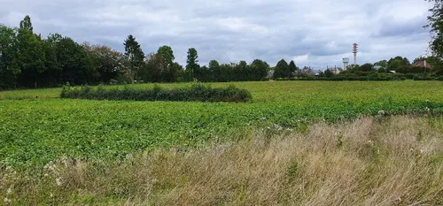 Un projet de création d’une brigade de Gardes champêtres pour les...