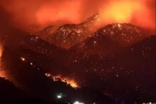 Incendie en Algérie : Djamal met en relation les familles...