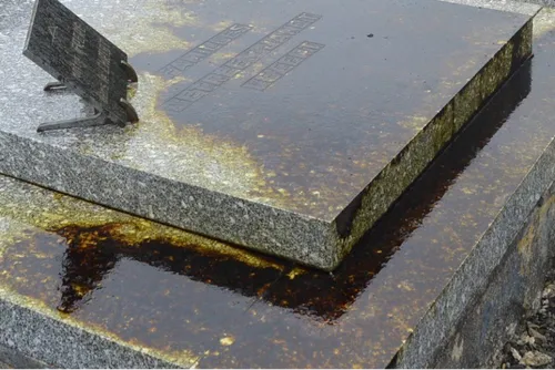 Le mystère des 23 tombes vandalisées dimanche au cimetière de...