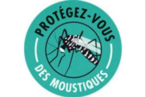 Une invasion de moustiques ces jours-ci en Sambre-Avesnois-Thiérache !