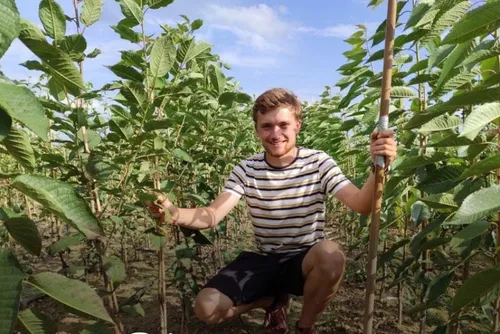 A 21 ans, Thomas ouvre sa Pépinière bio à Le Quesnoy