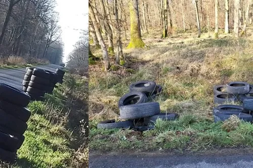 Avesnois / Pays de Mormal : en bref pour ce mardi 25 janvier 2022