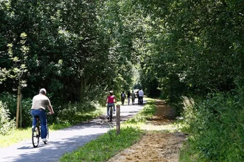 Sars-Poteries - Un obus de 45cm de long découvert près de la Voie...