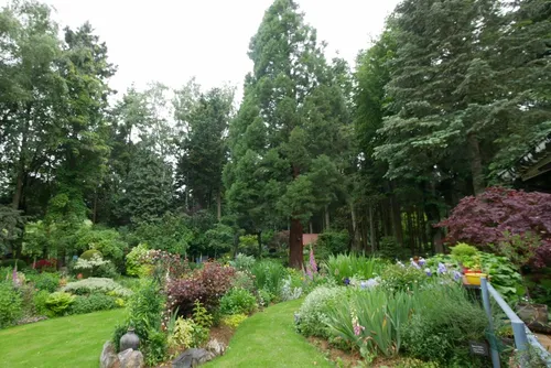 Besoin de fraîcheur ? Direction le Jardin du Séquoia de...
