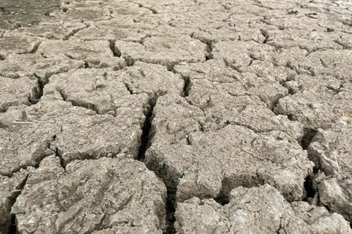 Sécheresse - Le Bassin de la Sambre en niveau Alerte, des...
