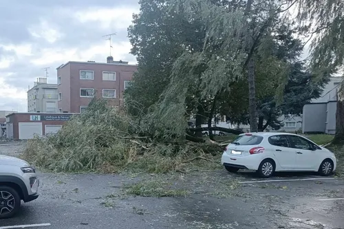 L'actu en bref du jeudi 2 novembre 2023 dans le Val de Sambre