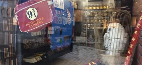 Une boutique Harry Potter ouvre en France !