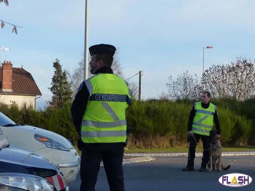 3 permis de conduire retirés en 3h