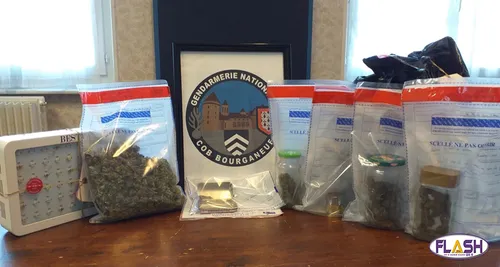 Un grand-père qui réalise des conserves de Cannabis