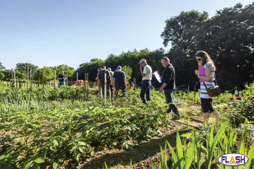 Concours du plus beau jardin 2019