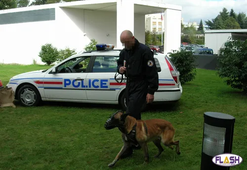 Deux nouvelles interpellations musclées pour les policiers limougeauds
