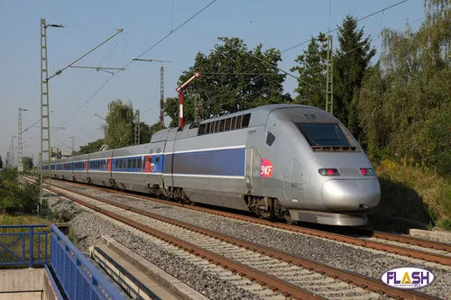 LGV Limoges Poitiers : Stop au "bal des faux culs"