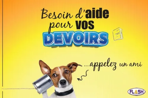 « Aide aux devoirs » : la plateforme gratuite de soutien scolaire...