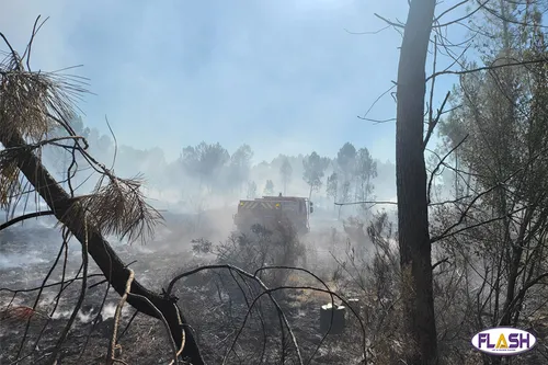Incendie en Gironde : le renfort des pompiers de Haute-Vienne et de...