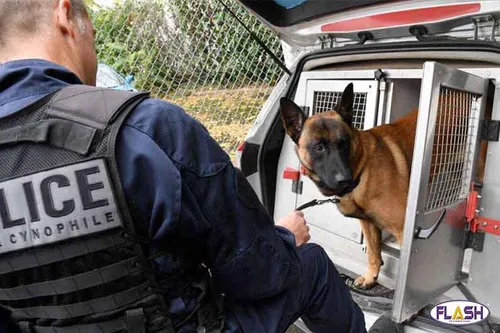 Limoges : 6 individus interpellés pour extorsion aggravée,...