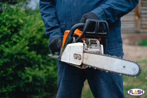 Limoges : un voleur d’outils de jardin pour un préjudice de 2 600€