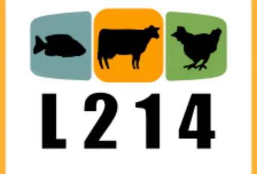 L’association L214 propose une nouvelle journée sans viande ce...