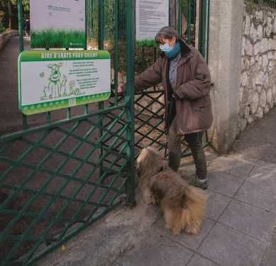 Palmarès des villes où il fait bon vivre avec son chien : Dijon 14ème