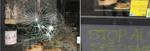 Six personnes interpellées, soupçonnées d'avoir attaqué des...