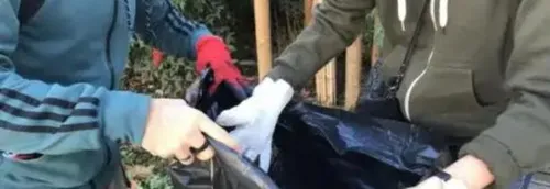 Une Clean Walk organisée à Lille ce jeudi
