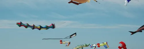 Cerfs-volants à Berck : les conseils de la préfecture pour...