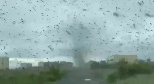 Une impressionnante tornade de moustiques filmée en Russie