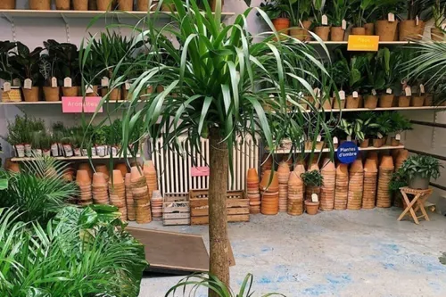 Marseille : grande vente de plantes aux Docks Village