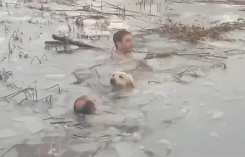 Espagne : la police sauve un chien tombé dans l’eau gelée