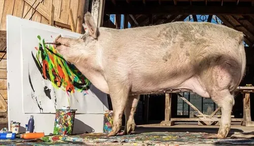 La truie Pigcasso devient l'animal le plus coté du monde de l'art
