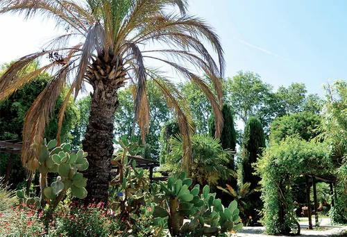 Marseille : visitez le jardin botanique, véritable musée vivant !