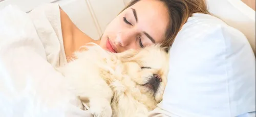 Dormir aux côtés d’un chien serait plus bénéfique qu’avec un être...