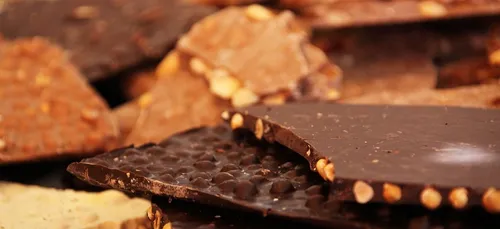 Le chocolat améliorerait les performances du cerveau