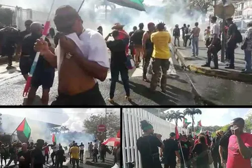 Martinique : des affrontements entre militants anti-chlordécone et...
