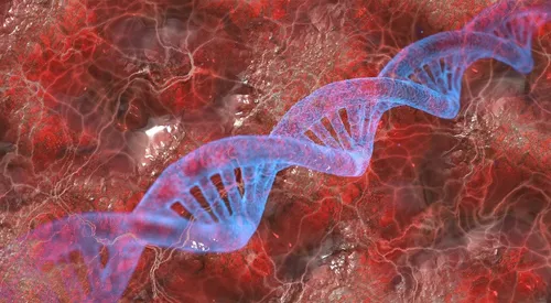 Des scientifiques ont découvert une cellule qui pourrait détruire «...