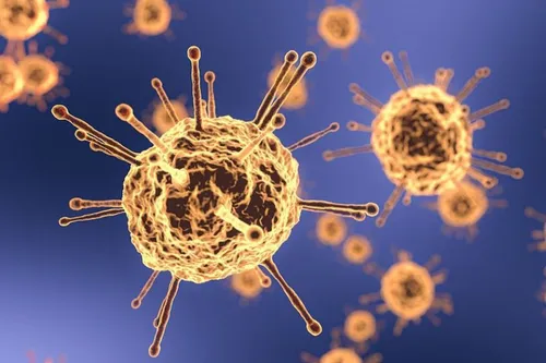 Coronavirus : l'avis du Conseil Scientifique pour les Outre-mer
