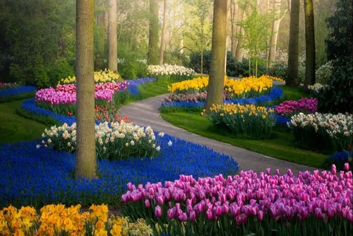 Le « plus beau jardin du monde », fermé aux visiteurs, révèle sa...