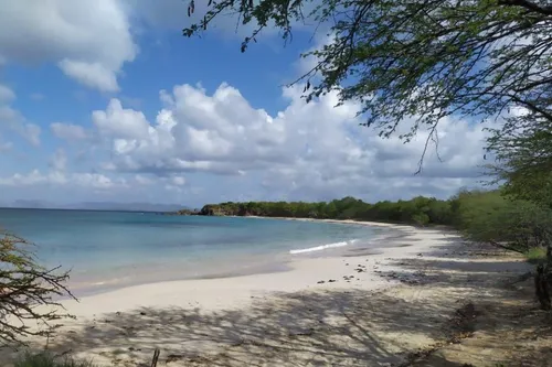 Plusieurs pétitions en ligne pour l’ouverture des plages en Martinique