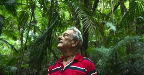 En 40 ans, ce Brésilien a reboisé 31 hectares de la forêt tropicale...