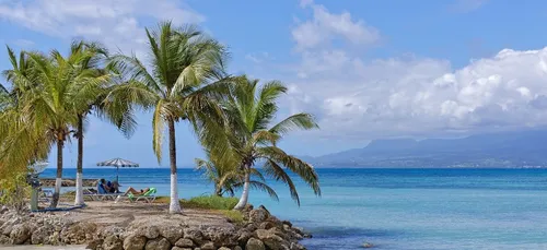 Réouverture de la Guadeloupe : l’union sacrée va-t-elle porter ses...