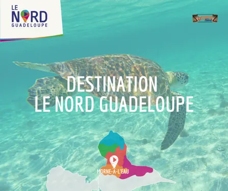 Le Nord Grande-Terre en Guadeloupe se lance dans le tourisme insolite