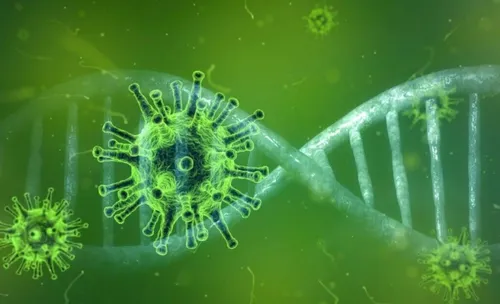 Un cluster du coronavirus identifié en Guadeloupe
