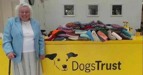 Agée de 89 ans, elle tricote plus de 400 couvertures et les offre à...