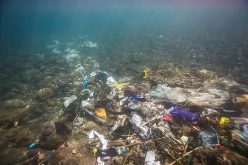 En 2040, la pollution plastique dans les océans pourrait tripler et...