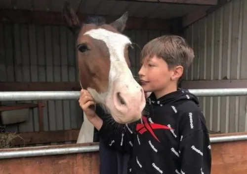 Un garçon de 13 ans sauve un cheval de la noyade en le maintenant à...