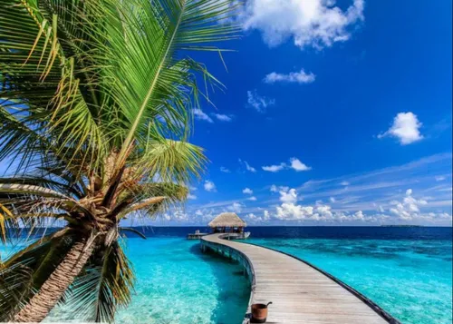 Un hôtel de luxe aux Maldives propose un forfait « télétravail »