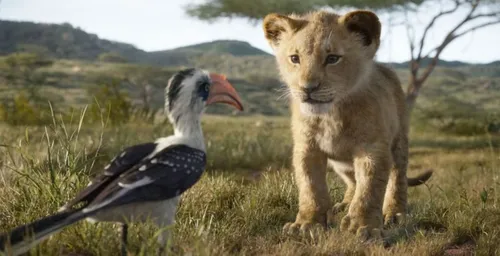 « Le Roi Lion 2 » : la suite du film en live-action a son réalisateur
