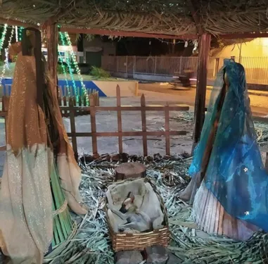 Une femme découvre un chien en train de dormir dans une crèche de Noël